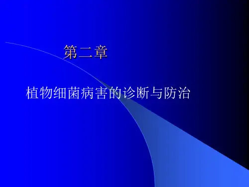 蔬菜病理学讲义13.软腐病