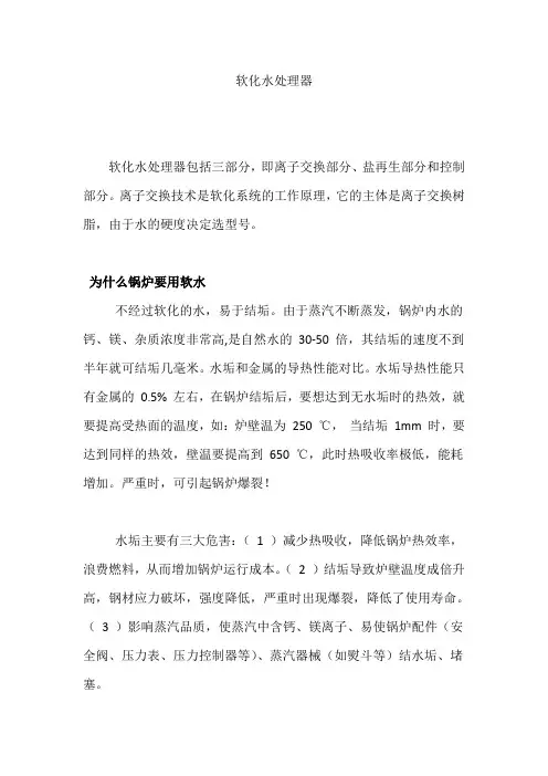 软化水处理器