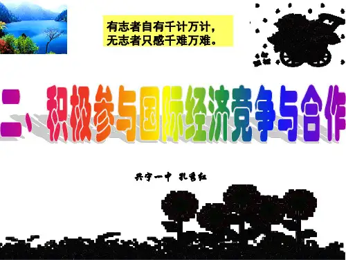 人教版高中政治必修一11.2积极参与国际经济竞争与合作2
