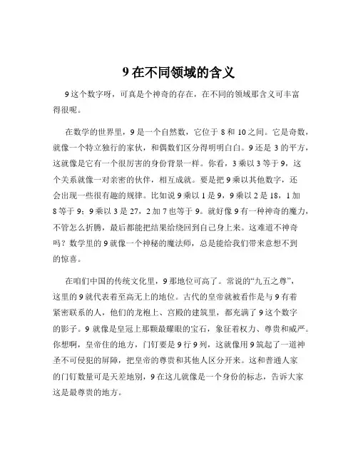9在不同领域的含义