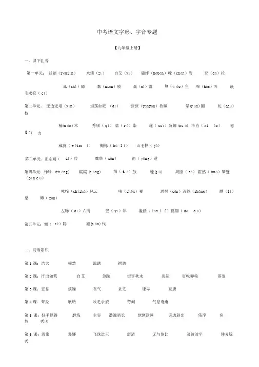 【掌控中考】2019中考中考语文总复习专项复习资料字形、字音专题素材