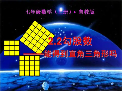 七年级数学勾股数
