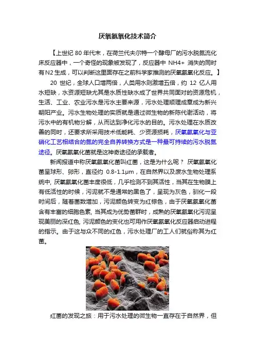厌氧氨氧化技术简介
