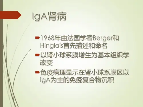 IgA肾病课件PPT精品课件