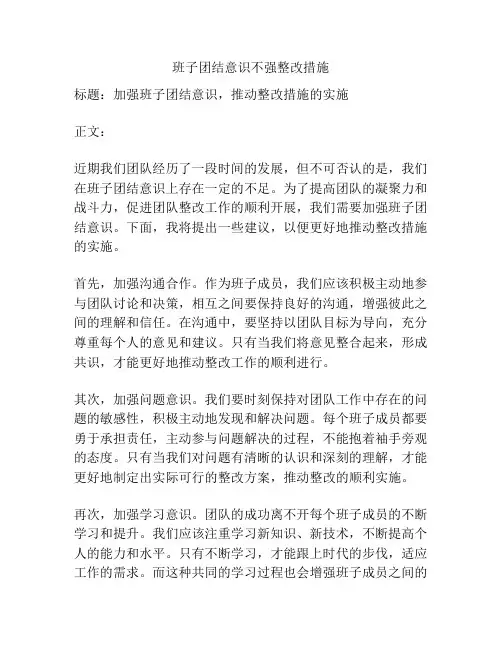 班子团结意识不强整改措施