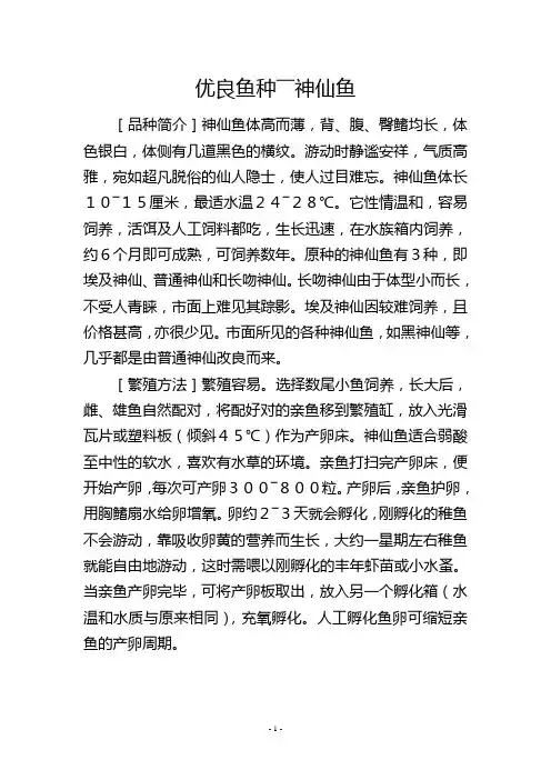 优良鱼种――神仙鱼