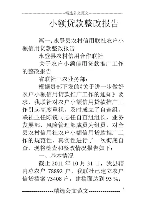 小额贷款整改报告