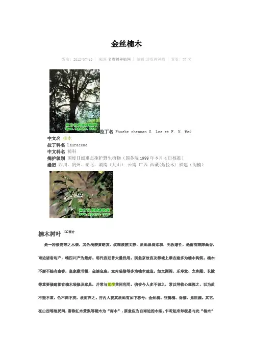 金丝楠木