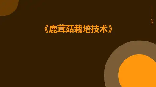 鹿茸菇栽培技术