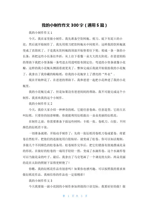 我的小制作作文300字（通用5篇）