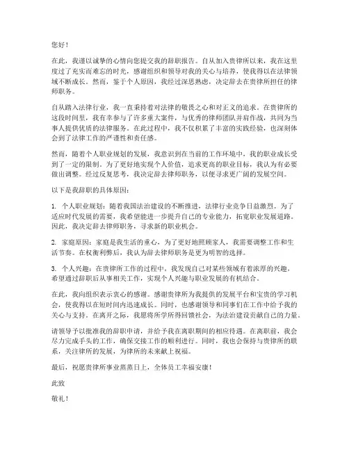 律师罗翔辞职报告范文