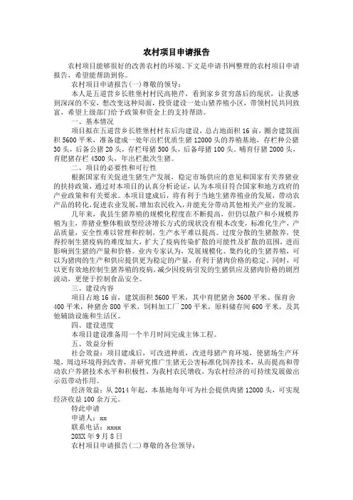 农村项目申请报告