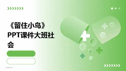 2024年《留住小鸟》PPT课件大班社会