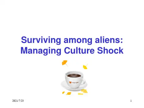 cultureshock跨文化交际PPT课件