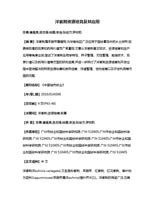 洋紫荆资源培育及其应用