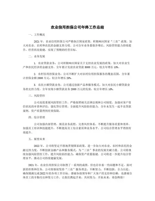 农业信用担保公司年终工作总结