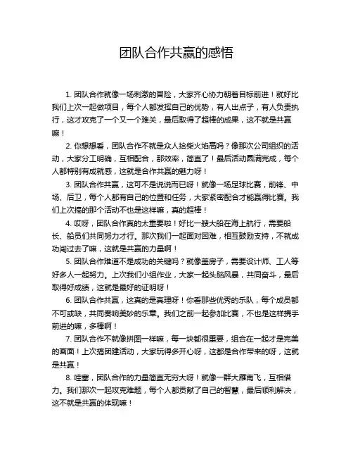 团队合作共赢的感悟