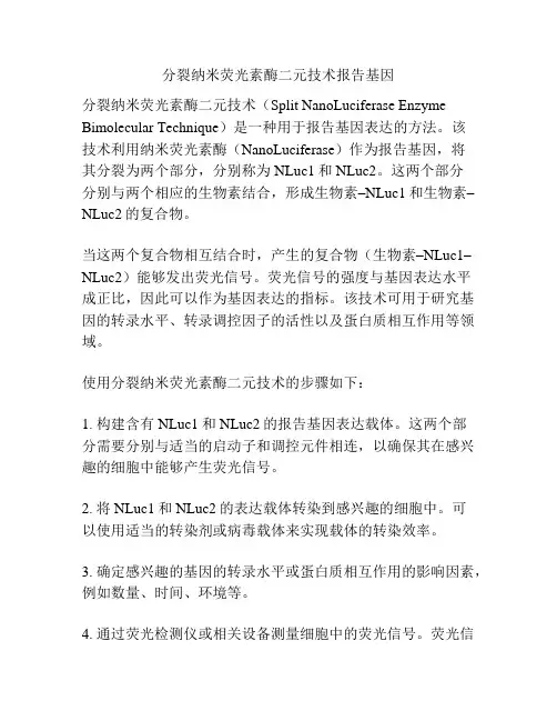 分裂纳米荧光素酶二元技术报告基因