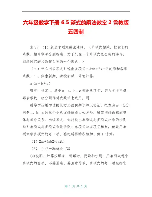 六年级数学下册 6.5 整式的乘法教案2 鲁教版五四制