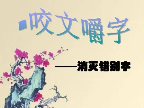 咬文嚼字-消灭错别字