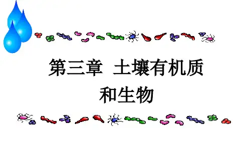 土壤有机质和生物省名师优质课赛课获奖课件市赛课一等奖课件