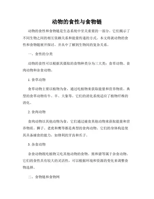 动物的食性与食物链