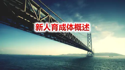 保险公司新人育成体系概述