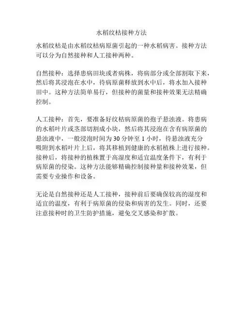 水稻纹枯接种方法