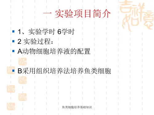 鱼类细胞培养基础知识
