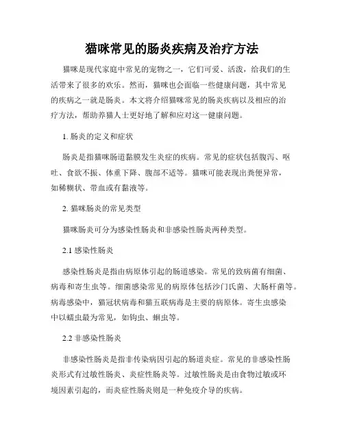 猫咪常见的肠炎疾病及治疗方法