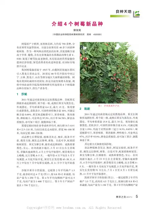 介绍4个树莓新品种