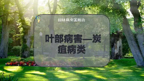 叶部病害—炭疽病类