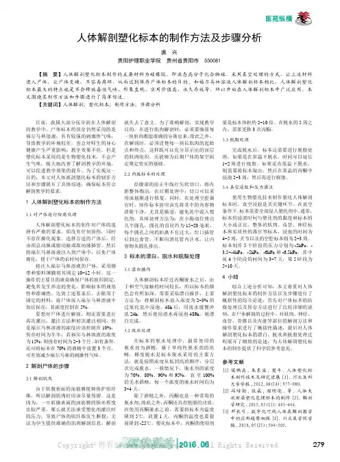 人体解剖塑化标本的制作方法及步骤分析