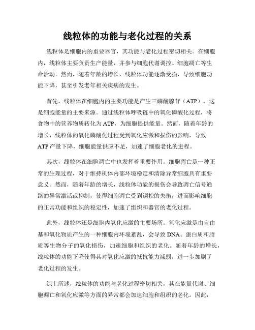 线粒体的功能与老化过程的关系