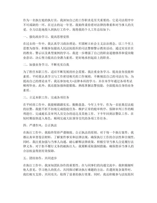执行庭执行员个人工作总结