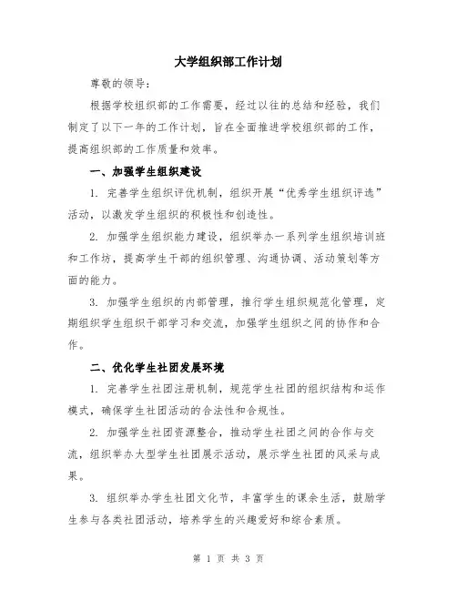 大学组织部工作计划