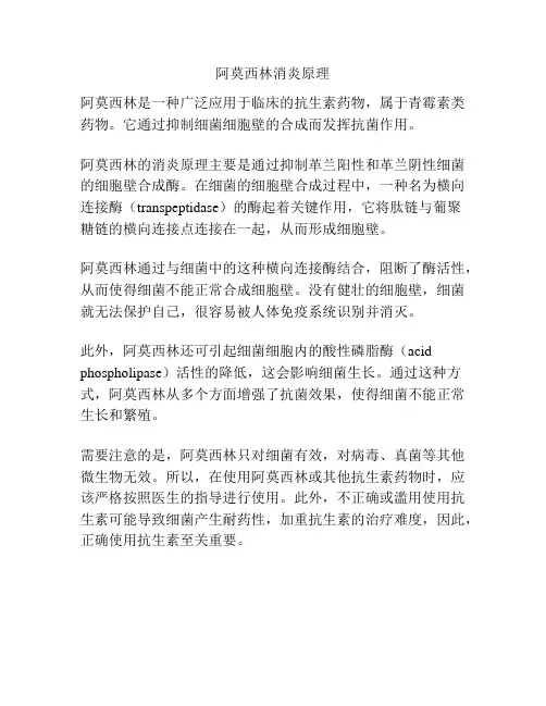 阿莫西林消炎原理