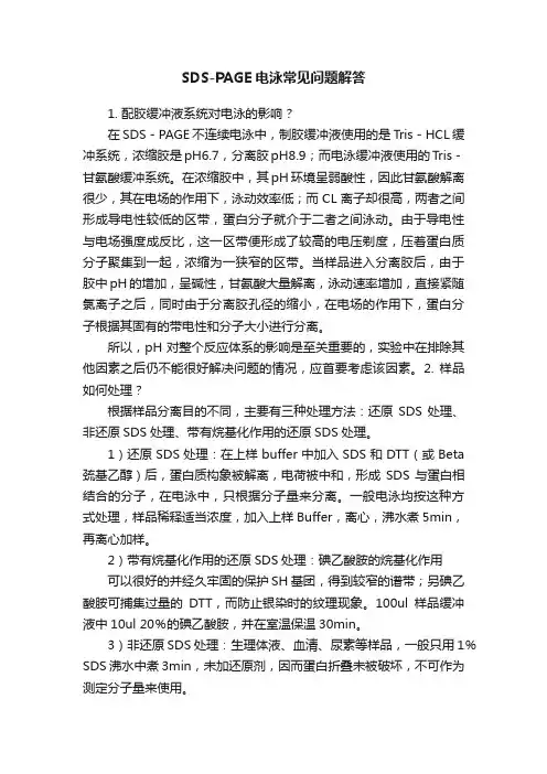 SDS-PAGE电泳常见问题解答