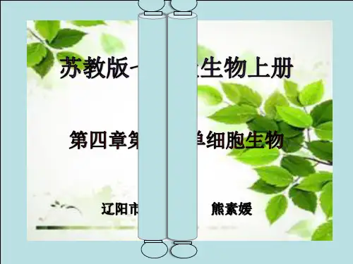 苏教版七年级上册生物：第一节 单细胞生物