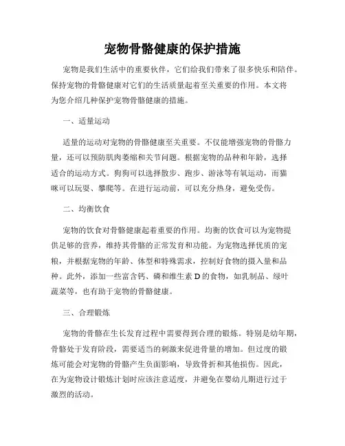 宠物骨骼健康的保护措施