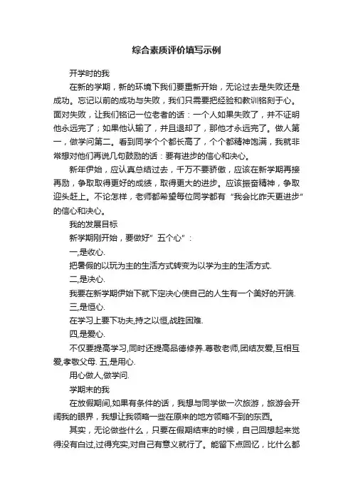 综合素质评价填写示例
