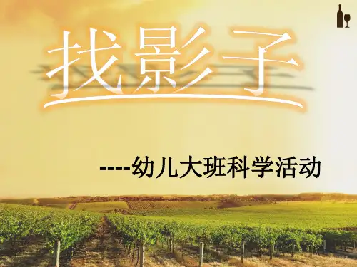 找影子PPT课件