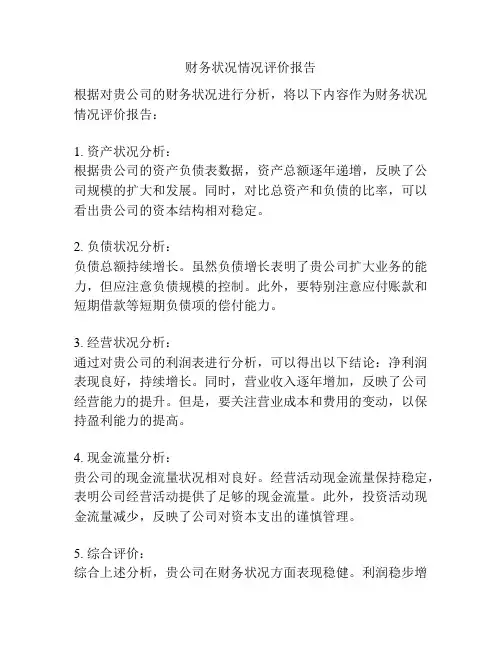 财务状况情况评价报告