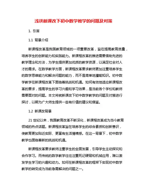 浅谈新课改下初中数学教学的问题及对策