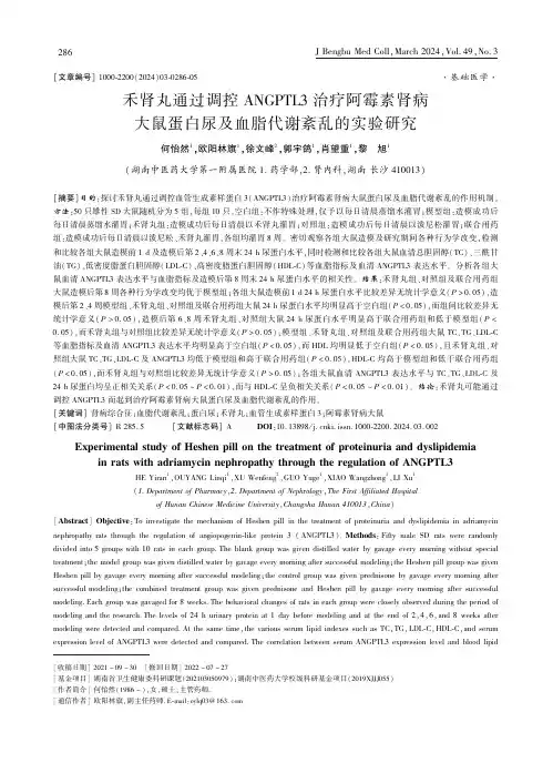 禾肾丸通过调控ANGPTL3_治疗阿霉素肾病大鼠蛋白尿及血脂代谢紊乱的实验研究