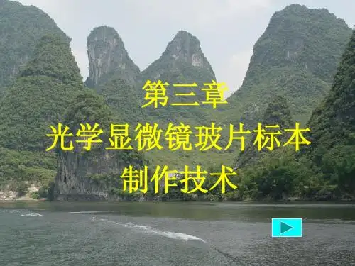 3.第三章玻片标本制作技术1  第一节 概述