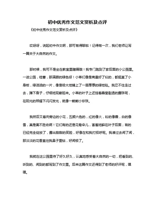 初中优秀作文范文赏析及点评