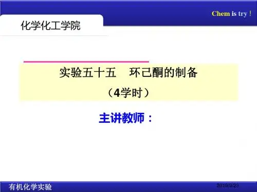 环己酮的制备-PPT精选文档10页