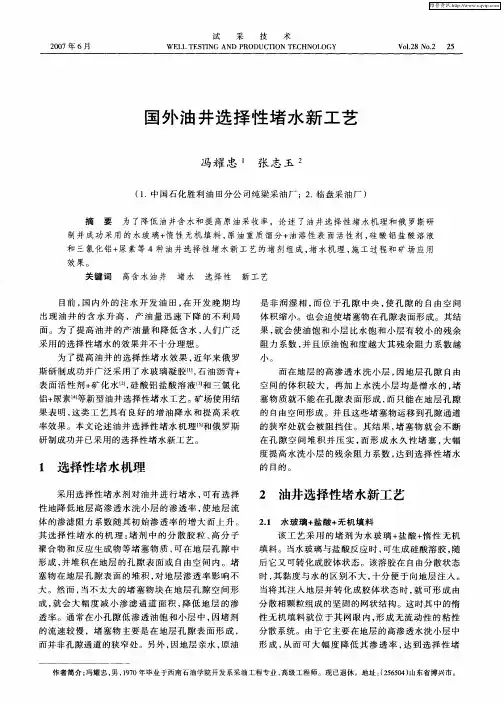 国外油井选择性堵水新工艺