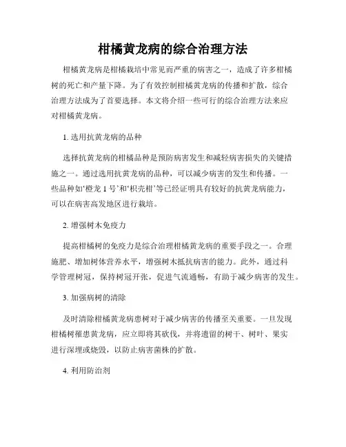 柑橘黄龙病的综合治理方法
